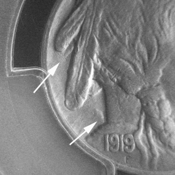 1919P-Buffalo-Nickel---Fourth-Feather?